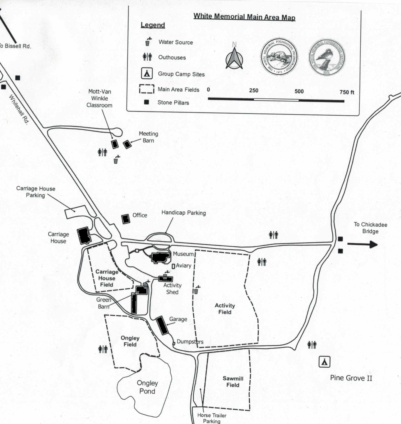 Foraging With Herbalist Amelia South - July 27th - Litchfield, CT - Image 2